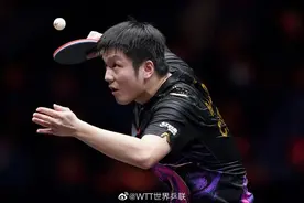 樊振东不敌奥恰，“龙头大战”半决赛上演 | WTT世界杯决赛图片