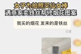 女子网购100根仙女棒收到100根铁丝 商家回应离谱：免费帮P烟花图图片