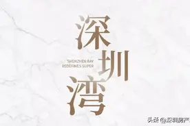 深圳湾最后可居住物业恒裕深圳湾70-110-220及580㎡稀缺海景顶复图片