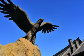 万鹰之神——海东青图片