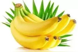 同样品种的香蕉，早熟一个月、卖的价钱高的秘密图片