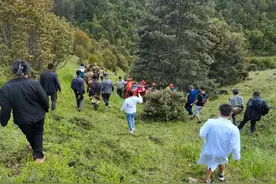 吓人！一男子上山捡菌子，一头黑熊冲了过来...图片