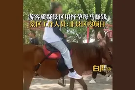 游客质疑景区用怀孕母马载客赚钱，景区：景区内没有骑马项目，教练：怀孕母马可以适量运动图片
