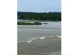 河北迁安“光头哥”获万元奖金图片