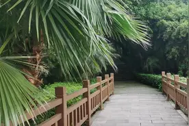 强直性脊柱炎特点 如何治疗强直性脊柱炎 强直性脊柱炎能治好吗图片