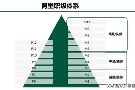 阿里的隐性金字塔：职级体系的结构力图片