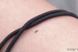 注意！广东人最近外出别穿这两种颜色的衣服图片