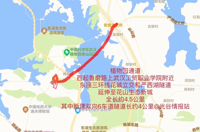 下半年，武汉彻底爆发