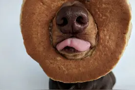 幽默笑话四则图片