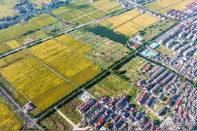 江苏省2022年耕地地力保护补贴标准为120元/亩！附具体发放时间图片