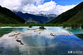 《老万话肌瘤》之子宫肌瘤，治还是不治？（下）图片