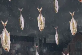 美国旧金山连续多天下“鱼雨”！鱼儿纷纷降落，它们从何而来？图片