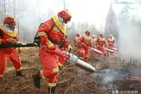 ​吉林省实现连续42年无重大森林火灾图片