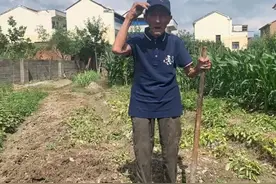 种玉米的百岁抗战老兵图片