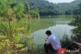 库钓鲤鱼之快速选位法，只看这2点就行，大大提高了作钓效率图片