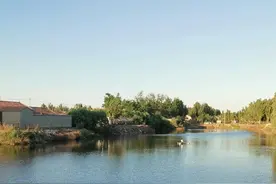 下河洗澡，夏日里的乐事图片