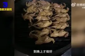 （视频）@太原人！小伙年后返程带3只鹅9只鸽40只鹌鹑：小姨和姨夫做了整整1天图片