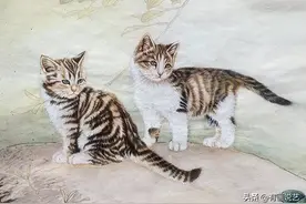 “狗来旺，猫来富，燕来筑巢家兴旺”，俗话有道理吗？图片