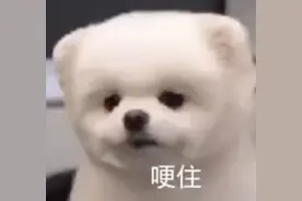 女儿偷吃了邻居的桂花糕后，其母居然要报警抓人图片