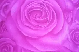 看到朋友们在头条国际，军事栏发文…图片