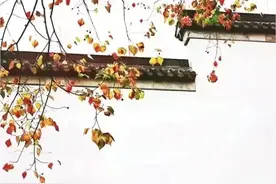 散文：晚秋，人生淡然，我们轻轻走过图片