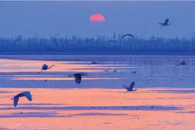 太白湖新区：守护碧水清流 绘就生态画卷图片