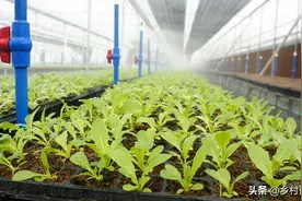 种菜要学会用生物法，五种生根增产防病虫菌剂，告别化肥和农药图片