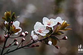 如果实在熬不下去，就读读余华的《活着》图片