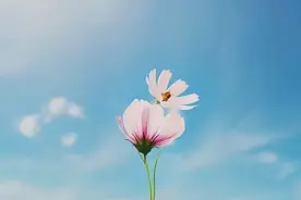 人到中年，男人会嫌弃老婆胖吗？听听他们的大实话，你就懂了图片