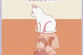 10种男生无法抗拒的“猫系女友”，你女友是吗？（漫画）图片