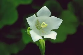 总有一天你会明白：兄弟姐妹断交，是一生解不开的结图片