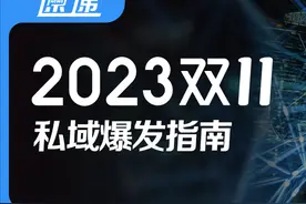 哪些商家有流量激励？双11私域爆发指南图片