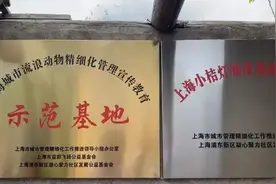 全网点赞！上海首个城市流浪猫基地建成，流浪猫也有家了图片