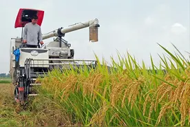 中美印耕地面积比较：印度27亿亩，美国24.41亿亩，我国有多少？图片