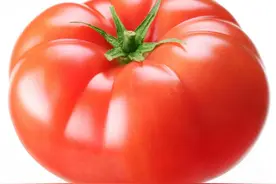 辨别番茄是否打过激素的简单方法图片