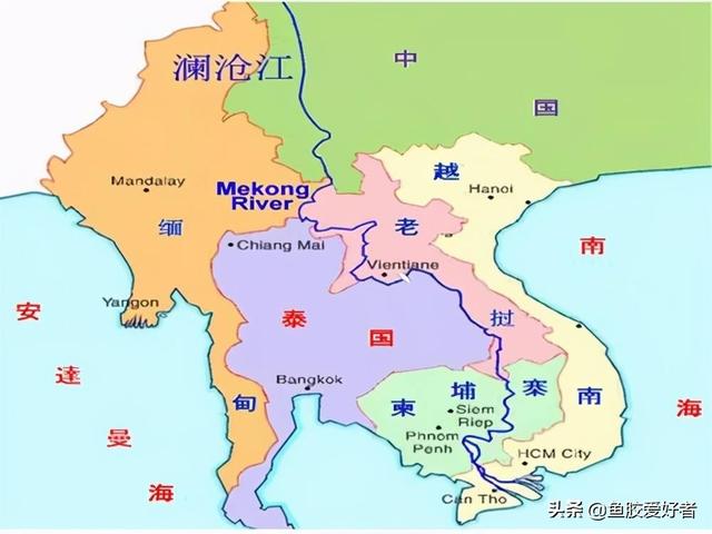 斗湖鱼胶产地哪里最好 2026年斗湖鱼胶产地哪里最好吃