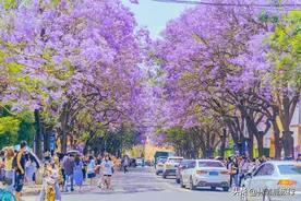 中国避暑城市第一名：空调见不到，再热不过28°C，冬夏康养皆舒服图片