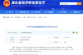 湖北：2022年省智能制造试点示范企业名单图片