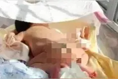 新生儿集体撅着小屁股晒太阳，萌翻了。图片