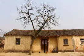 民国8年，新婚夫妇雪夜离奇冻毙于厕所，凶手缜密布局却功亏一篑图片