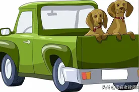 高速救狗520条 拖欠药费320万 救狗呼声高 欠债无声音图片