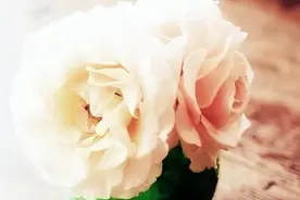 男人主动向你透露三个私密信息，不是爱你，而是嫌弃你图片