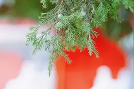 最基础的60个佛学名词详解，建议收藏，随用随查图片