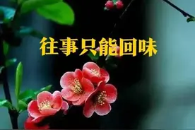 人生匆匆皆过客，何必执念是与非图片