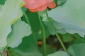 一个家庭如果想要留住财运就要做到这三件事图片