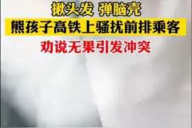 孩子火车上弹脑壳 揪头发 家长不制止 还吼人 差点互殴 还好乘务员调节图片