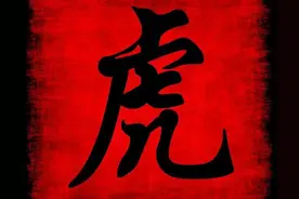 哪个月份出生的生肖虎最老实？真诚善良，却常常被人欺骗！图片