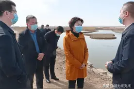 托克托县委书记李春燕调研中央环保督察问题整改、农牧业重点项目建设、森林草原防火工作并进行例行巡林图片