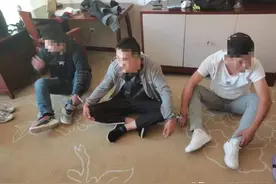 “拼XX”工作人员免费发放卫生纸？榆林警方打掉一电诈“地推”团伙！图片