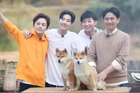 曝湖南台所有综艺节目10月停播，《中餐厅》《天天向上》都延期了图片